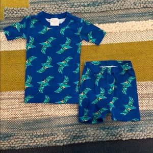Hanna Andersson pterodactyl pajamas